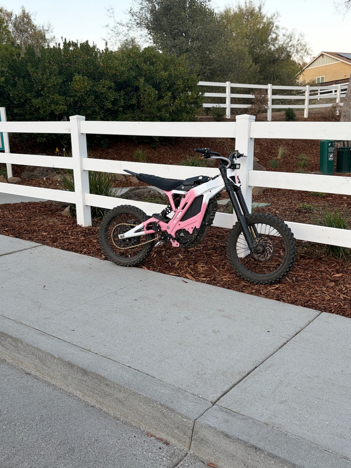 E Ride Pro S