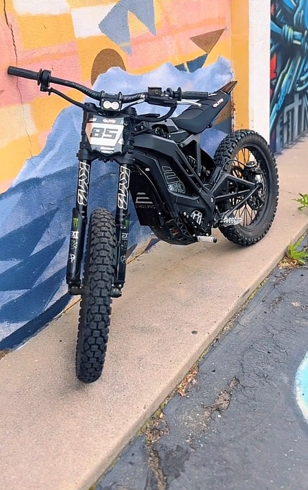E Ride Pro Sr, photo 2 of 3