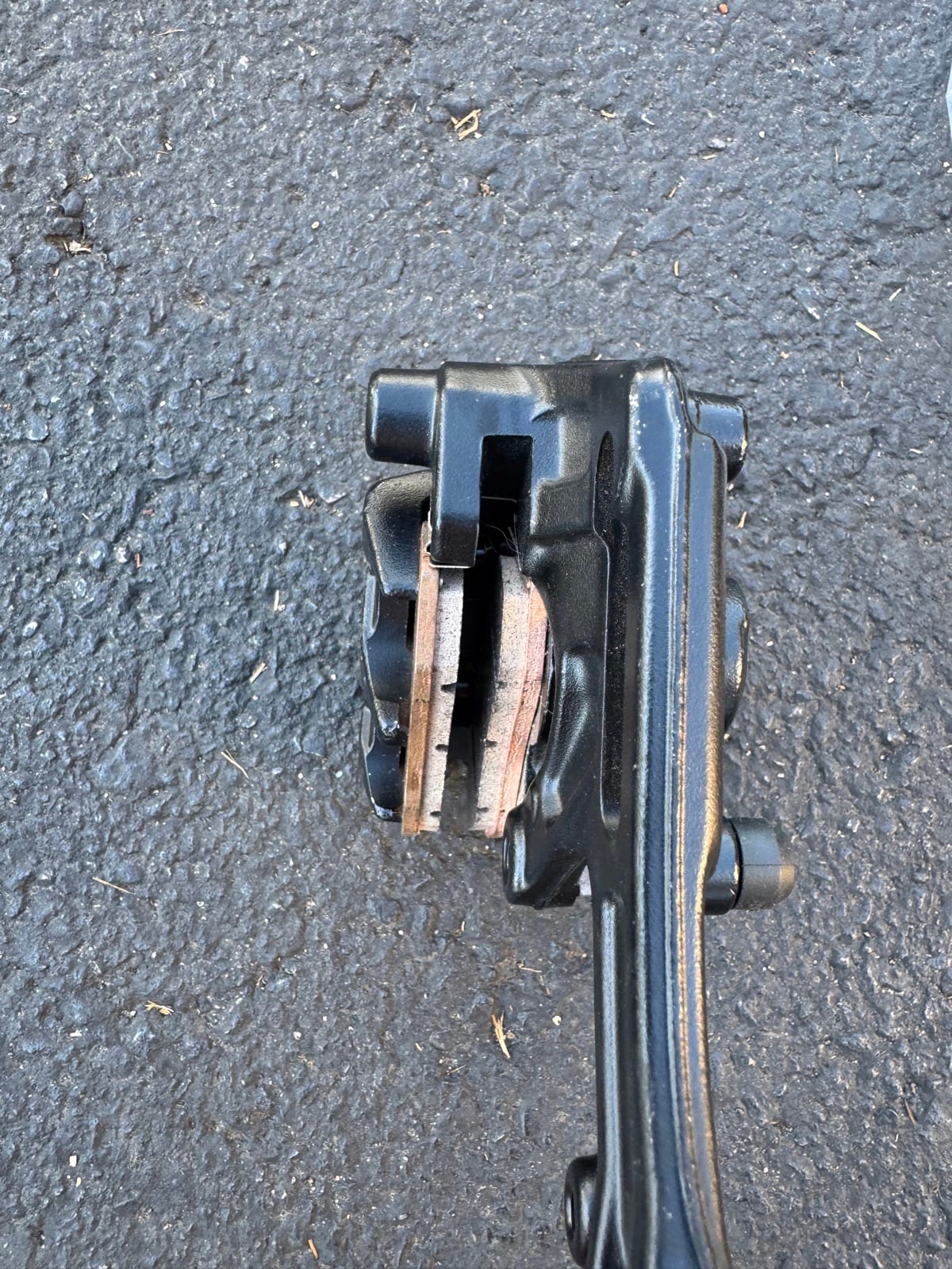 Black Ultra Bee Rear Brake Caliper, photo 3 of 3